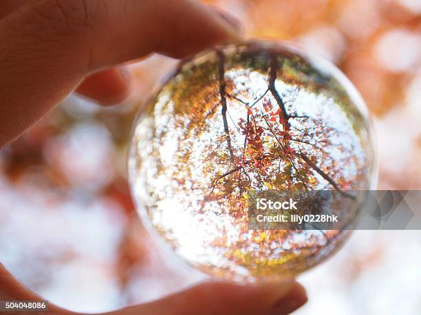 Crystal Ball Stock Photo - Download Image Now - Autumn, Crystal, Crystal Ball