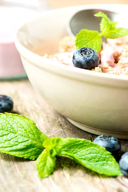 istock Cereal with yogurt and fresh blueberries closeup 504053021