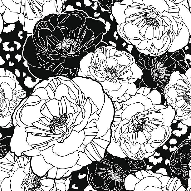 illustrazioni stock, clip art, cartoni animati e icone di tendenza di poppies su sfondo di pelle di leopardo - single flower chrysanthemum design plant