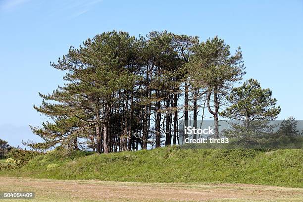 Foto de Arvoredo De Árvores Verdes Ridge e mais fotos de stock de Arvoredo - Arvoredo, Azul, Cresta de montanha