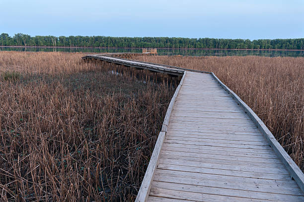 istock Boardwalk Crossing Marsh along Minnesota River 504057693