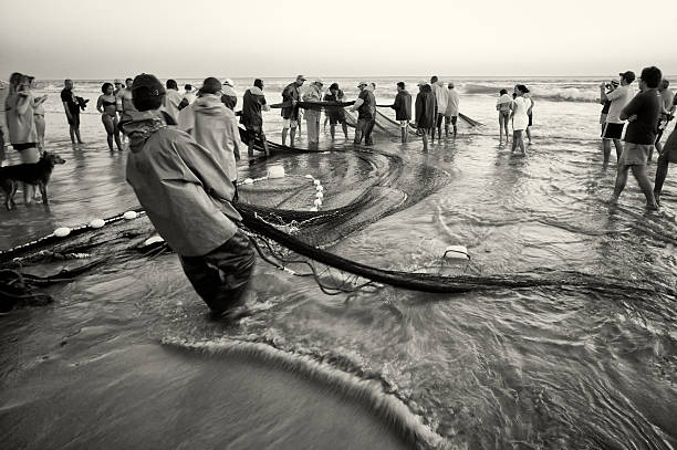CHONBURI, THAILAND - DEC 9 : Group of fishermen clear fish from net on 9 December 2016 in Bangpra, Sriracha, Chonburi, Thailand