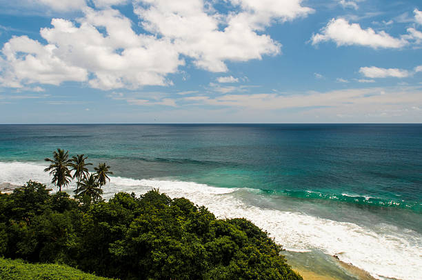 istock Fernando de Noronha - Brazil 504058669
