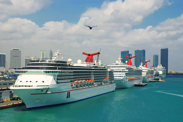 kreuzfahrtschiffe im hafen von miami - bay large nautical vessel blue stock-fotos und bilder