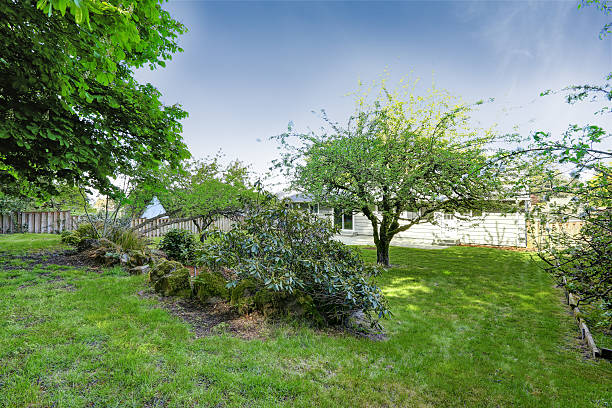 istock House with walkout deck and garden 504060431