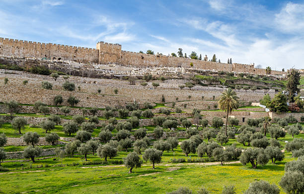 istock Golden Gate, Gate of Mercy in Jerusalem 504068456