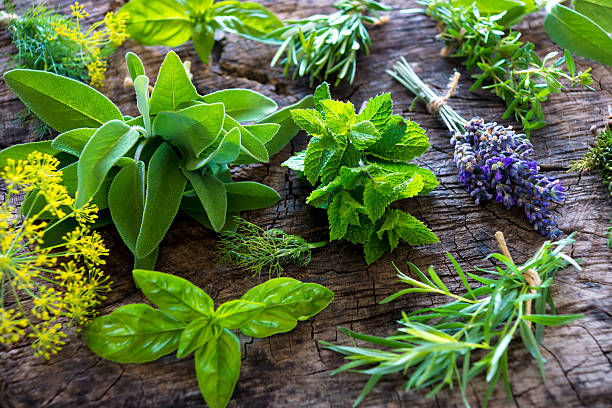 erbe aromatiche fresche su sfondo in legno - erba aromatica foto e immagini stock