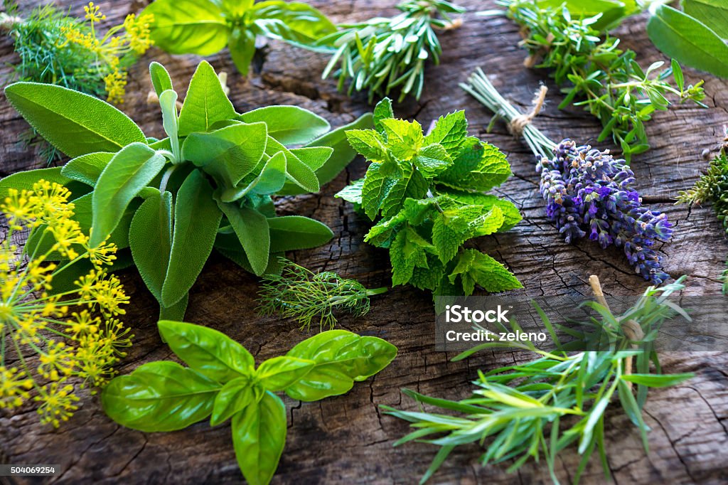 Fresh herbs on wooden background Herbal Medicine Stock Photo