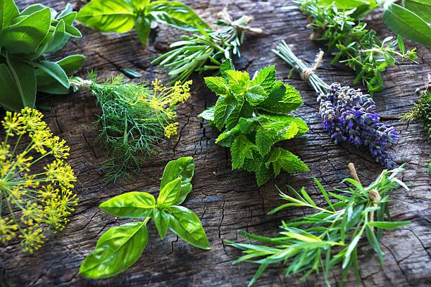 istock Fresh herbs on wooden background 504069368