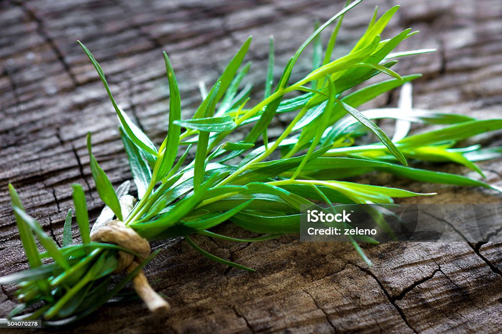 Tarragon Tarragon Stock Photo