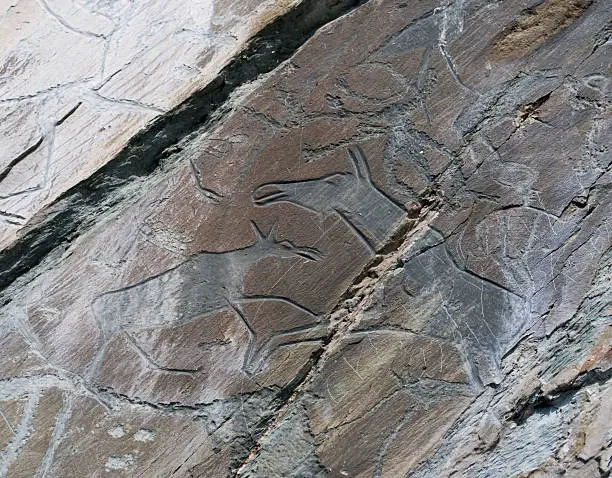Rock Painting. Petroglyphs Museum Reserve Tomsk pisanitsa