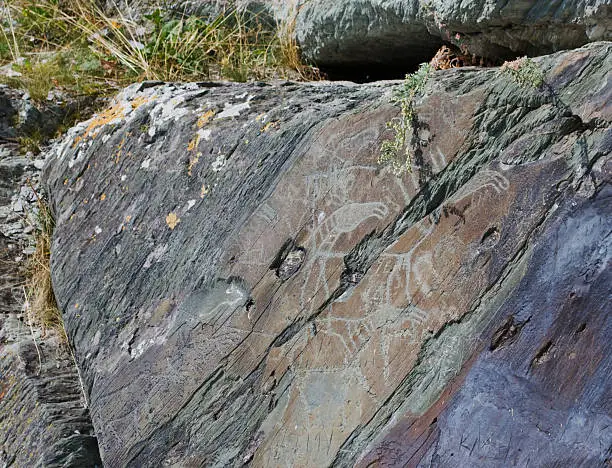 Rock Painting. Petroglyphs Museum Reserve Tomsk pisanitsa