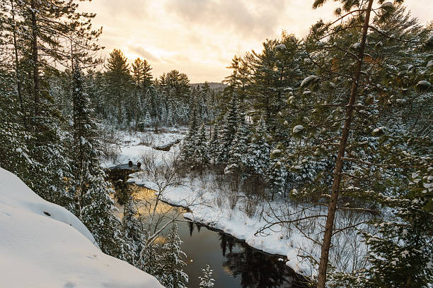 Winter landscape iof a wilderness park