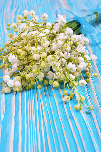 istock liliy of the valley 504079330