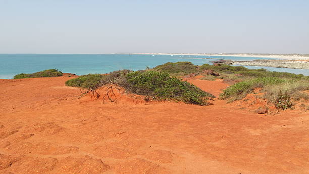 istock Gantheaume Point, Broome, Western Australia 504081350