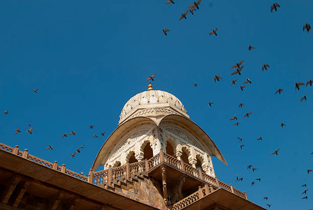 istock Chhatriyan,Jaipur,Rajasthan,India. 504081543