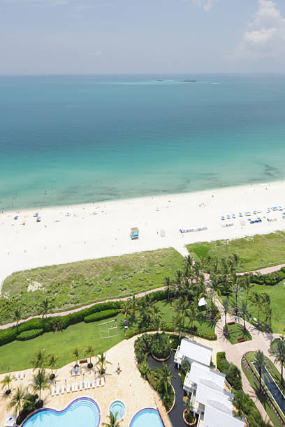 istock Aerial drone photo Miami Beach 504082045
