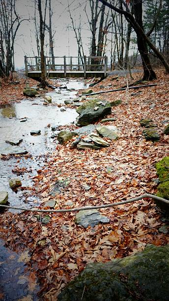 istock Wooden Walking Bridge,Thacher Forest Stream Brook Before Waterfall, NY 504086390