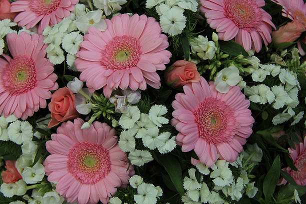 istock Mixed pink bridal flowers 504099020