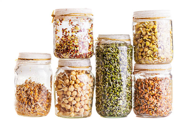Stack of Different Sprouting Seeds Growing in a Glass Jar stock photo