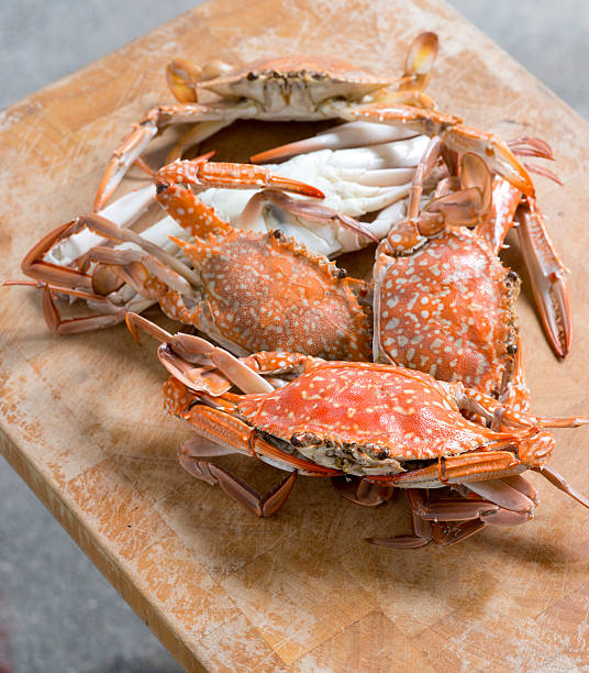 istock Hot Steamed Blue Crabs on wooden table. 504102577