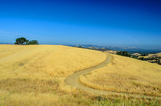 il golden colline del diablo - mt diablo state park foto e immagini stock