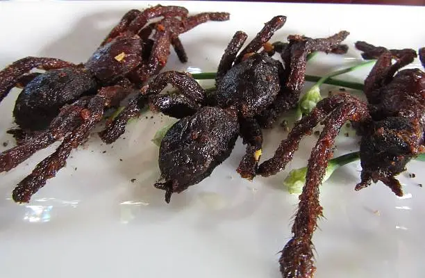 Close-up image of three tarantula spiders deep-fried and ready to be eaten.