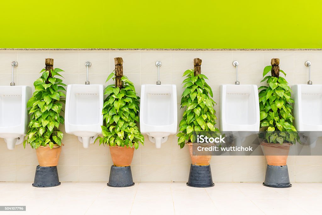 restroom interior with white urinal row and ornamental plants The modern style decorative restroom interior design with white urinal row and green ornamental plants  2015 Stock Photo