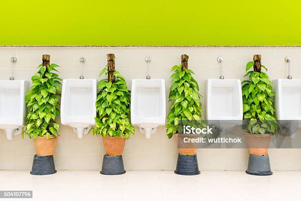 Restroom Interior With White Urinal Row And Ornamental Plants Stock Photo - Download Image Now