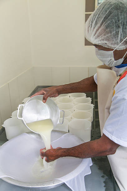 istock Cheese production in Minas Gerais, Brazil 504108685