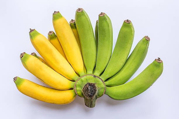 istock Bananas are the most popular fruit in the world 504108694