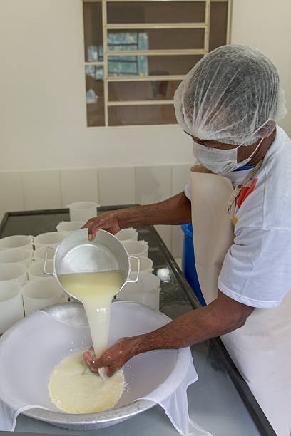 istock Cheese production in Minas Gerais, Brazil 504108879