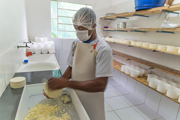 produção de queijo em minas gerais, brasil - farmers cheese imagens e fotografias de stock