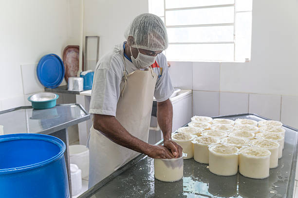 производства сыра в минас-жерайс, бразилия - farmers cheese стоковые фото и изображения