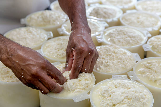 formaggio produzione di minas gerais, brasile - farmers cheese foto e immagini stock