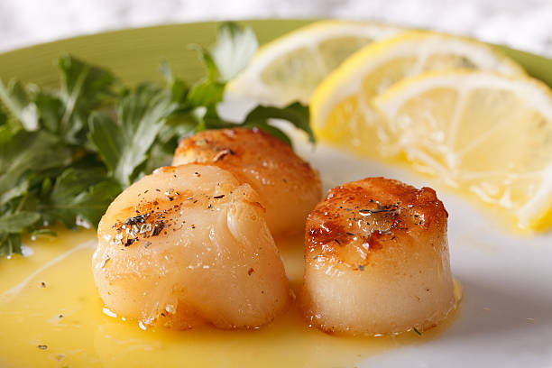 istock Fried scallops with sauce on a plate macro. horizontal 504109990