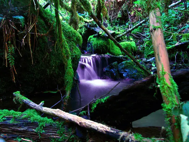 Photo of Waterfall 1