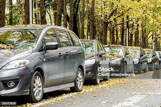 Many Cars Parked On The Edge Of The Ginkgo Trees Stock Photo - Download Image Now - Car, Stationary, Street