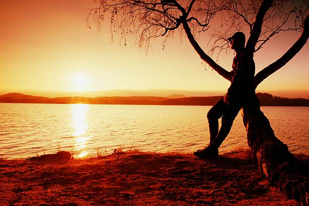 istock Man on tree. Silhouette of  lone man sit on branch 504113104