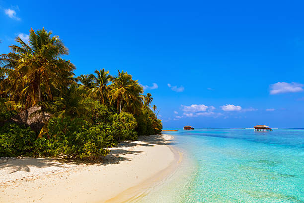istock Tropical beach at Maldives 504120154