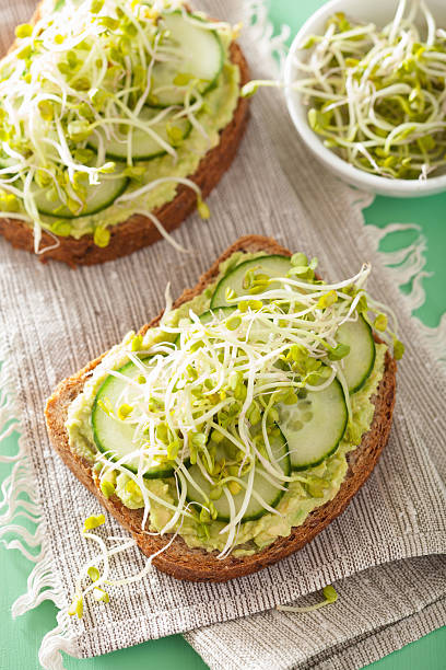 healthy avocado toast with cucumber radish sprouts