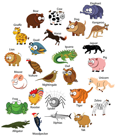 Vector illustration of cute animals and birds: quail, giraffe, bear, cow, sheep, yak, owl, xiphias, pig, lion, woodpecker, tiger, alligator, kangaroo, dog,mouse,spiger,rooster,frog,vulture, jungle