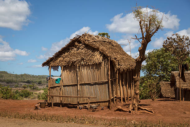 istock Typical malagasy wooden hut home 504122898