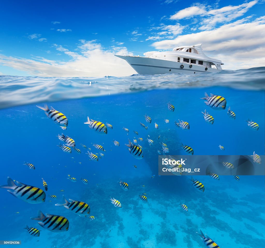 Underwater coral reef with horizon and water surface Underwater view of coral reef with horizon and water surface split by waterline. Anchoring yacht on waves. Summer holiday concept. High Resolution Surface Level Stock Photo