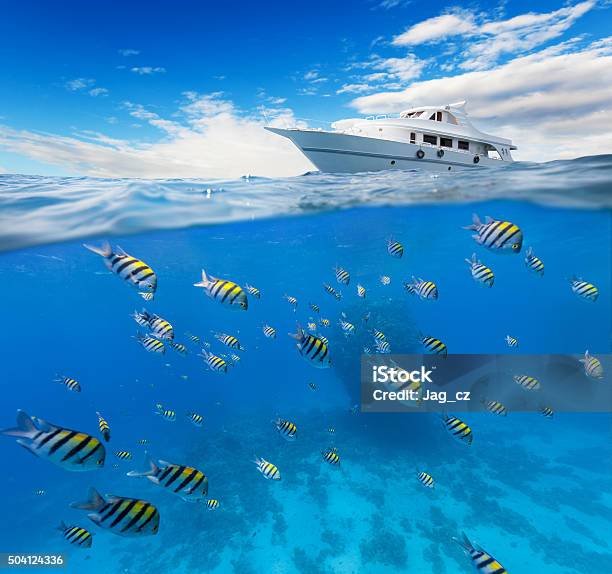 Underwater Coral Reef With Horizon And Water Surface Stock Photo - Download Image Now