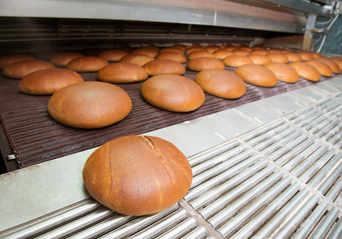 Fresh hot baked bread loafs on the production line