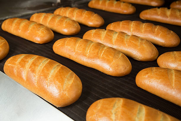 istock Hot baked breads on a line 504126518