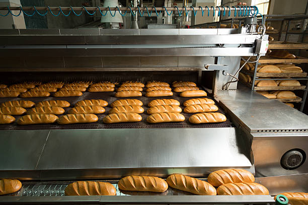 istock Hot baked breads on a line 504126578