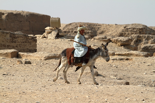 Donkey riding in the Sahara