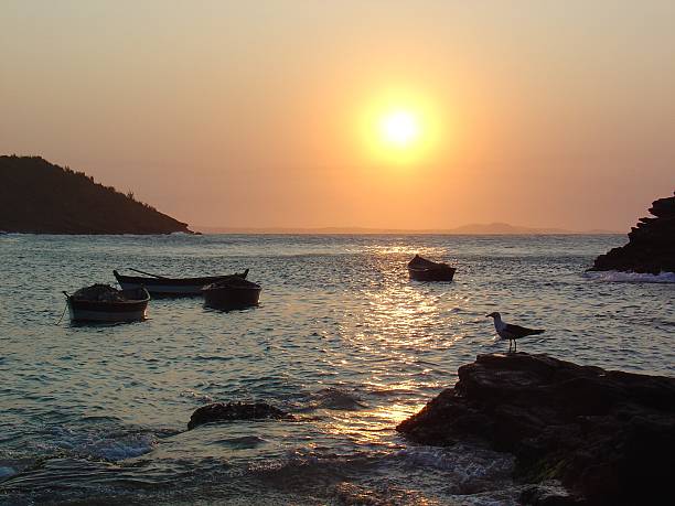 istock Beach in Buzios at sunset with boats and seagull 504127036